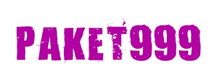 Paket999 logo